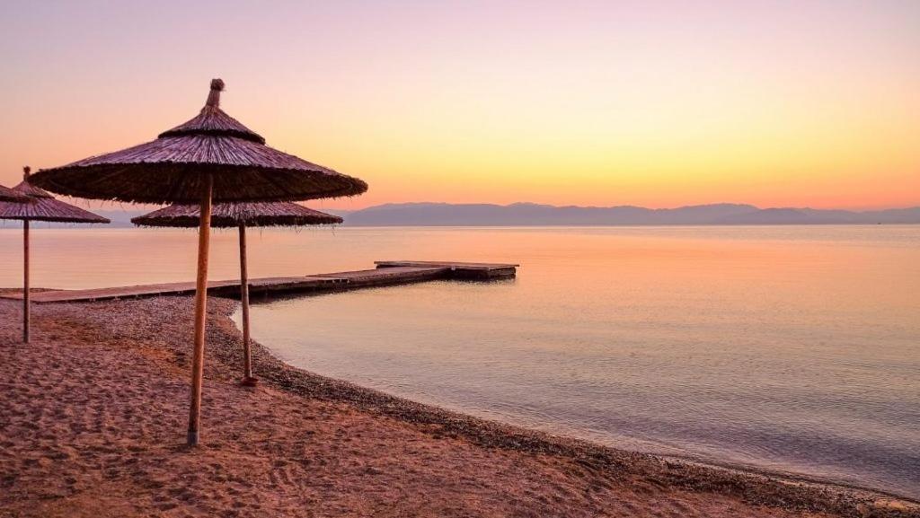 Corfu Olivia Moraitika